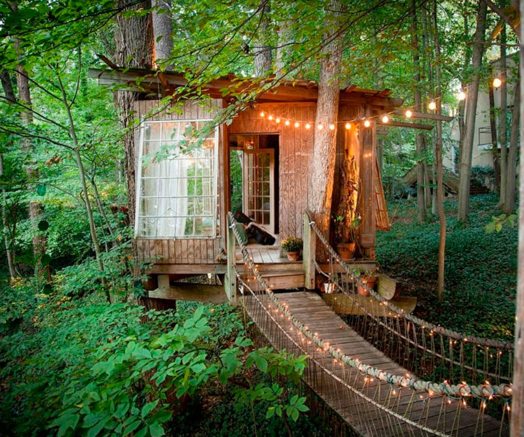 air b and b treehouse